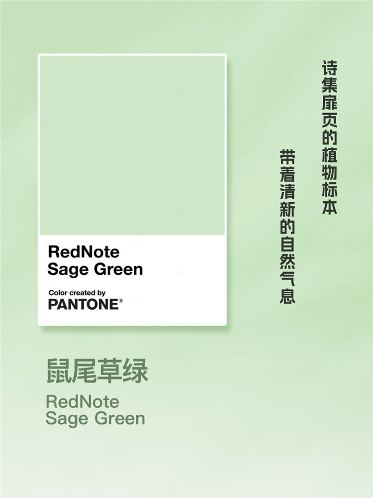 家居配色,武漢裝修,武漢裝修設(shè)計(jì) 家居配色,武漢裝修,武漢裝修設(shè)計(jì)